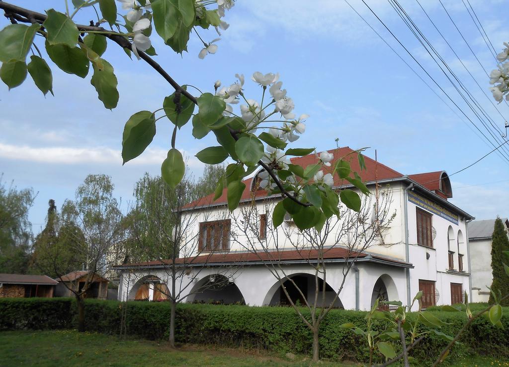 Guest House Marketti Vynohradiv Esterno foto