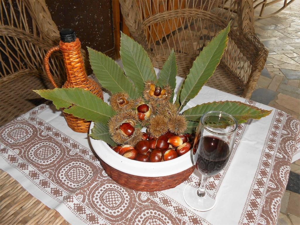 Guest House Marketti Vynohradiv Esterno foto