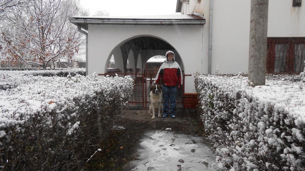 Guest House Marketti Vynohradiv Esterno foto