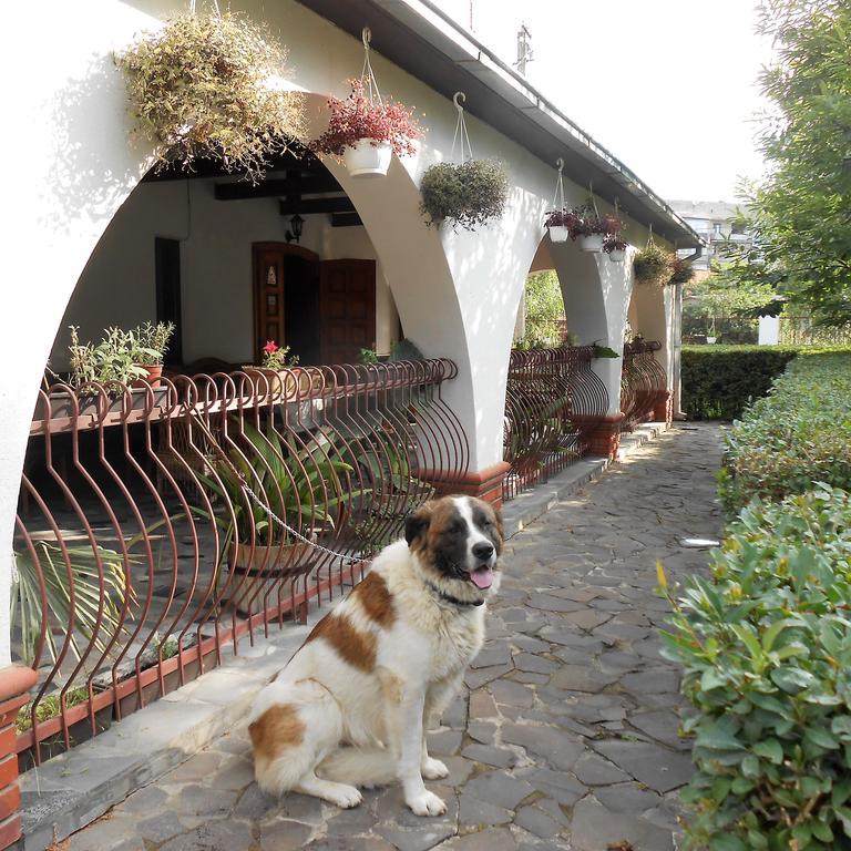 Guest House Marketti Vynohradiv Esterno foto