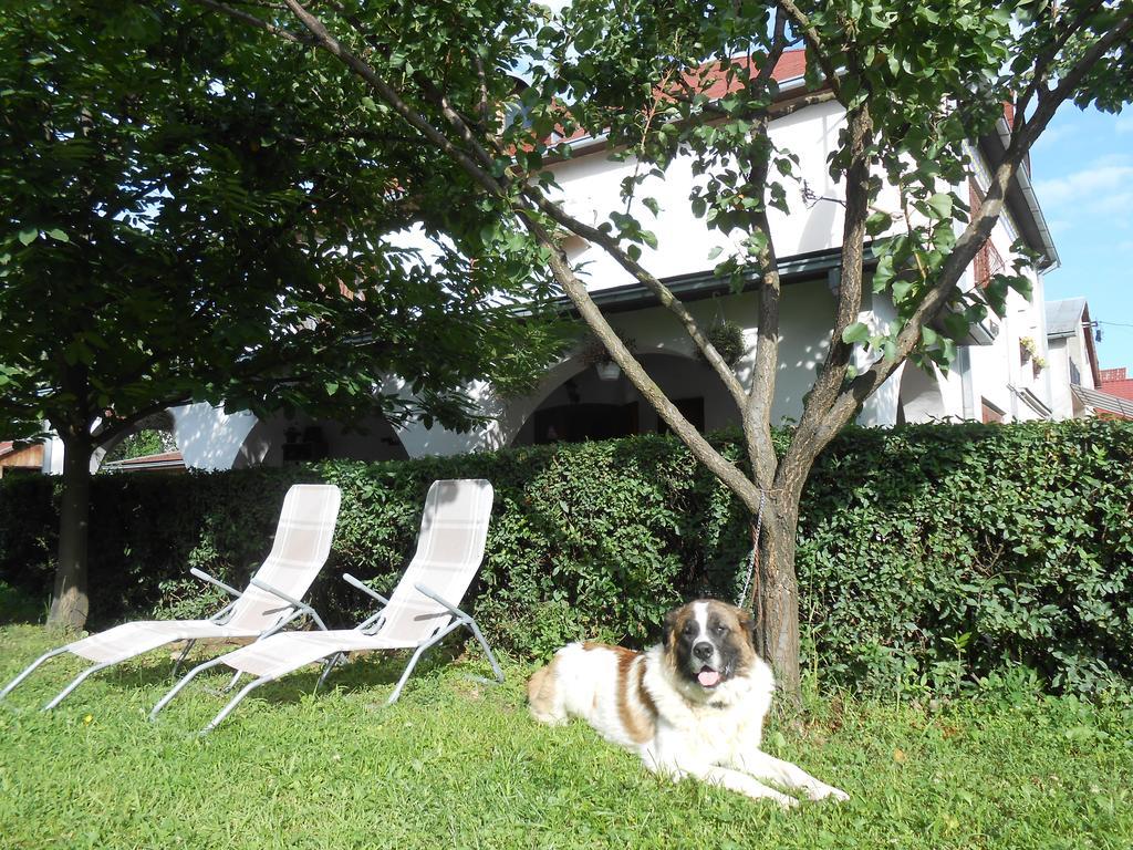 Guest House Marketti Vynohradiv Esterno foto